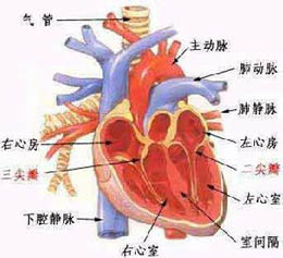 概述