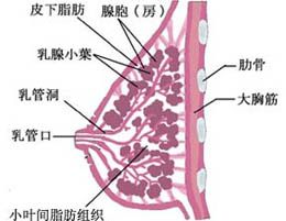 概述