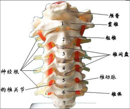 概述