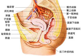 概述