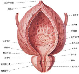 概述