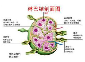 局部淋巴结肿大