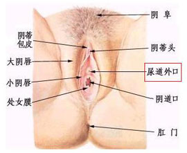 概述