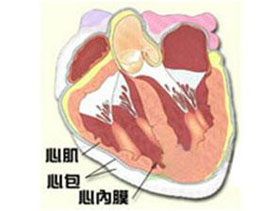 概述