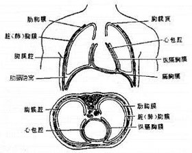 概述