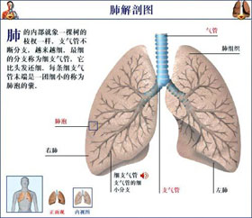 概述