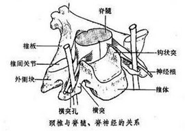 概述