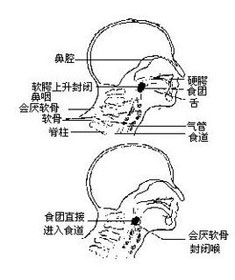 概述