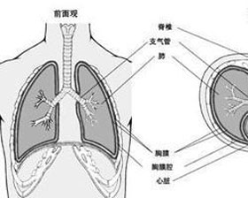 概述