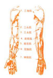 概述