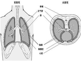 概述