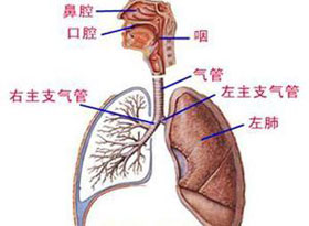 概述