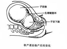 概述