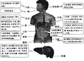 概述