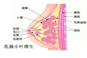 症状起因