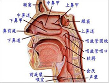 症状描述