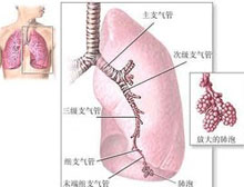 症状起因