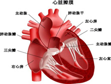 症状描述