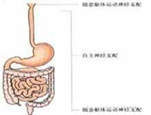 症状起因