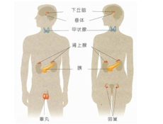 相关症状