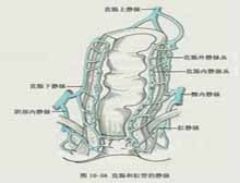 症状描述