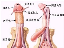 症状起因