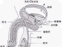 症状描述