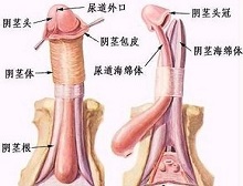 症状起因