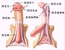 症状描述