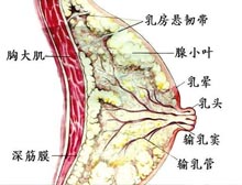 症状起因