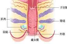 症状描述