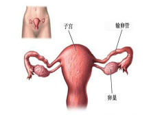 症状起因