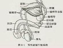 症状描述