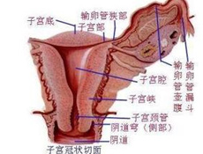 什么是慢性盆腔炎