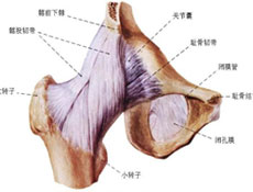 治疗