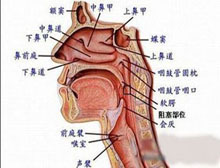 症状描述