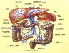 并发症