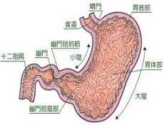 检查项目