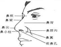 症状诊断/鉴别