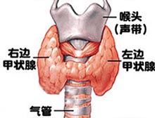 症状诊断/鉴别