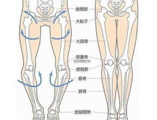 造成小儿O型腿的原因