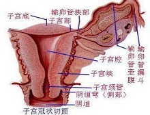 症状诊断/鉴别