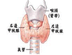 疾病治疗