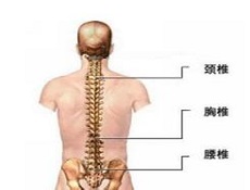 诊断