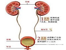 治疗事项