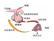 检查