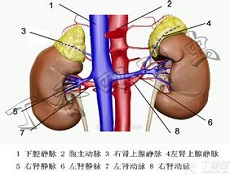 临床表现