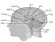 症状