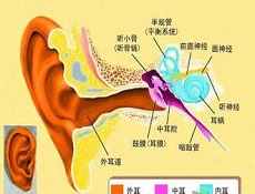 鉴别诊断