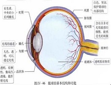 疾病隐患